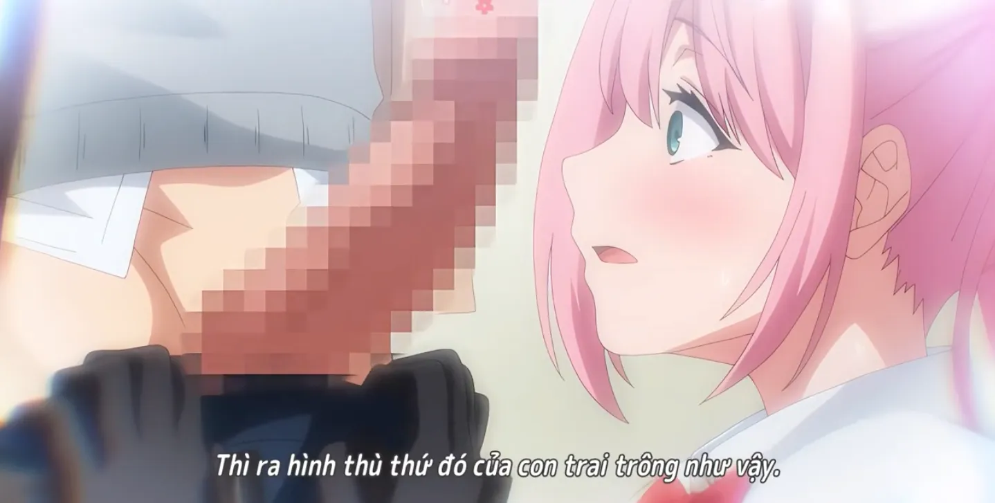 Discipline Committee And Sexual Activity