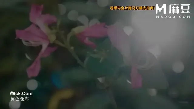 Beautiful Ghost and the Lucky Man