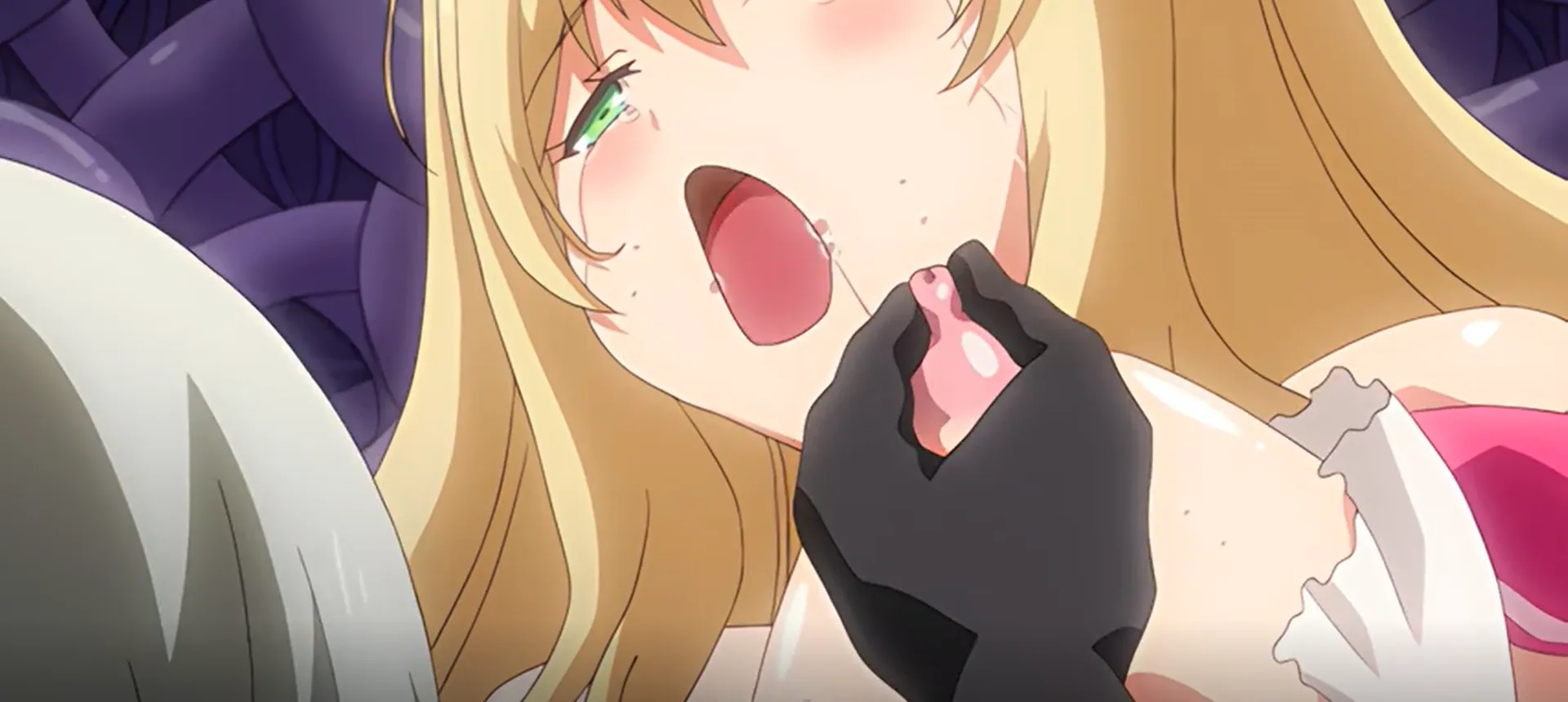 Mahou Shoujo Noble Rose The Animation