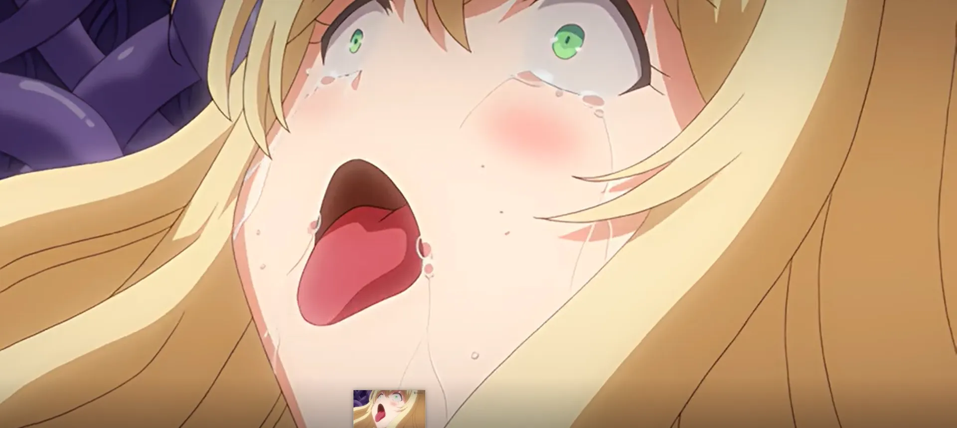 Mahou Shoujo Noble Rose The Animation