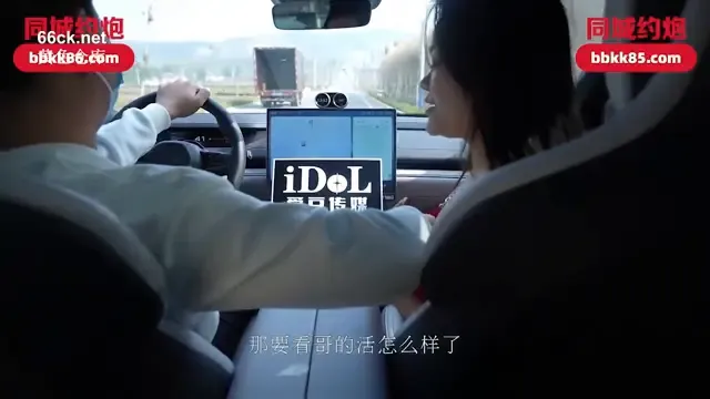 Picked up a new girlfriend and had sex in the car
