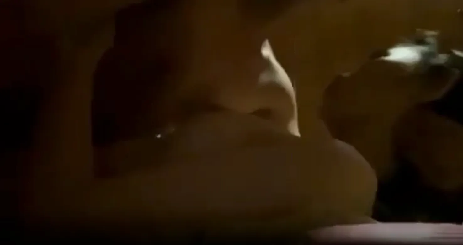 Deep Thrusts Bouncing Tits on Cam