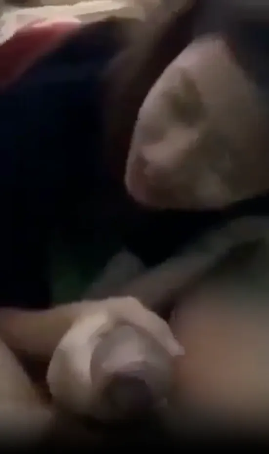 Taboo Curiosity Innocent teen passionately deep-throats her older cousin